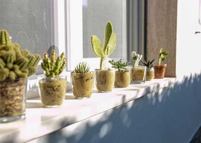 Apartament Gioviale House