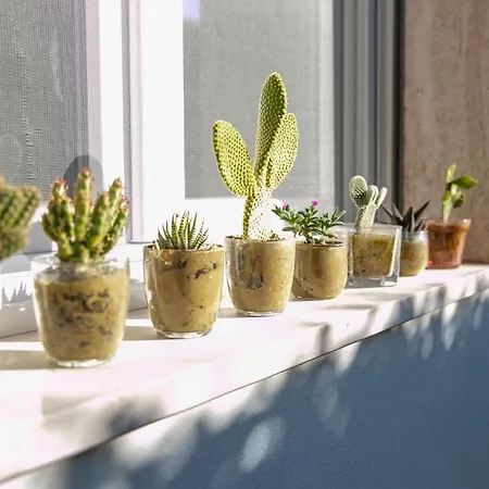 Appartement Gioviale House